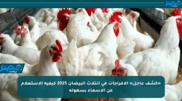 «كشف عاجل» الإفراجات في انتلات البيضان 2025 كيفية الاستعلام عن الأسماء بسهولة